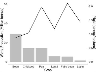 The challenge of breeding for reduced off-flavor in faba bean ingredients